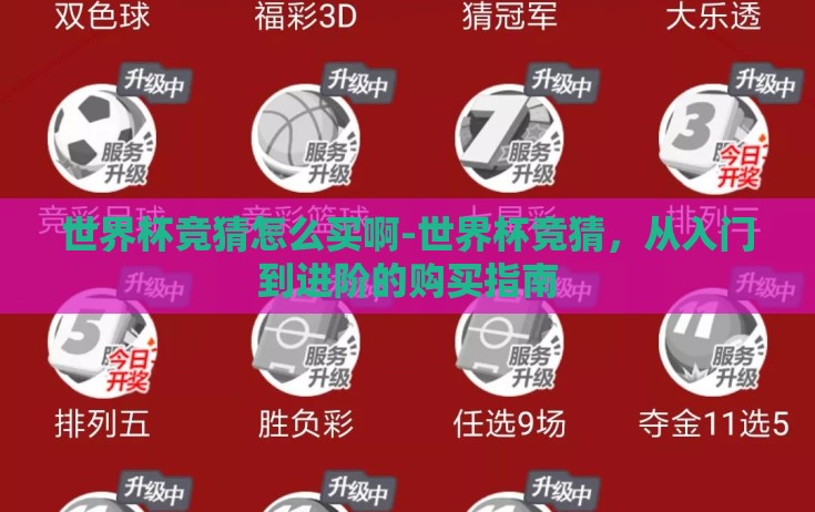 世界杯竞猜怎么买啊-世界杯竞猜，从入门到进阶的购买指南