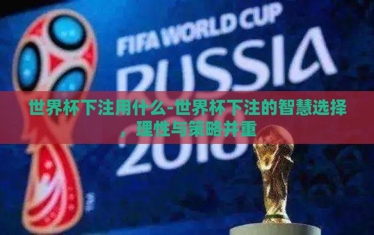 世界杯下注用什么-世界杯下注的智慧选择，理性与策略并重