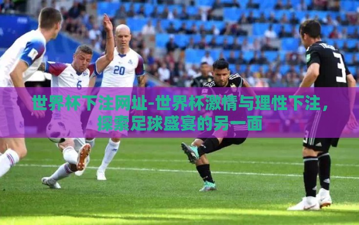 世界杯下注网址-世界杯激情与理性下注，探索足球盛宴的另一面