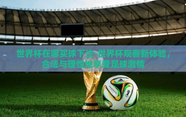 世界杯在哪买球下注-世界杯观赛新体验,合法与理性地享受足球激情 世界杯在哪买球下注-世界杯观赛新体验,合法与理性地享受足球激情