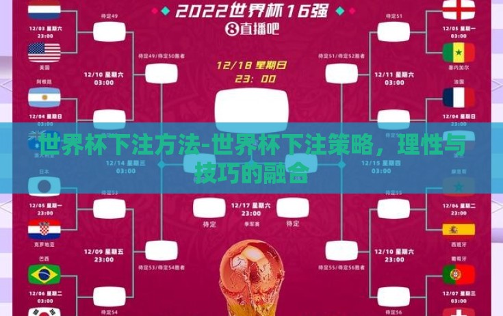 世界杯下注方法-世界杯下注策略，理性与技巧的融合