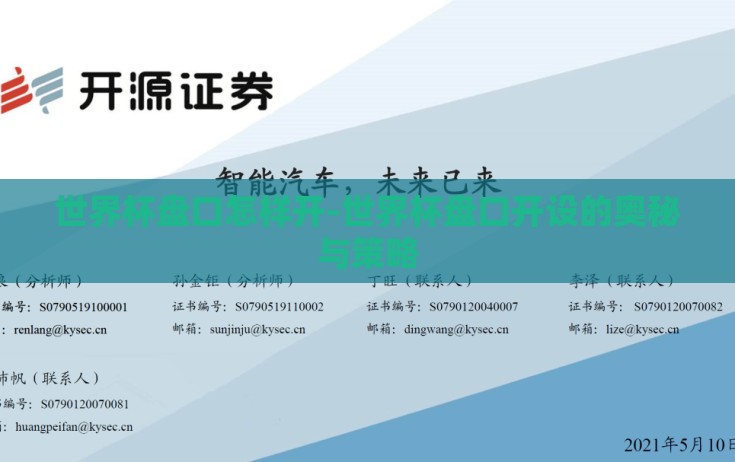 世界杯盘口怎样开-世界杯盘口开设的奥秘与策略
