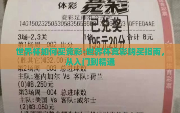 世界杯如何买竞彩-世界杯竞彩购买指南,从入门到精通 世界杯如何买竞彩-世界杯竞彩购买指南,从入门到精通
