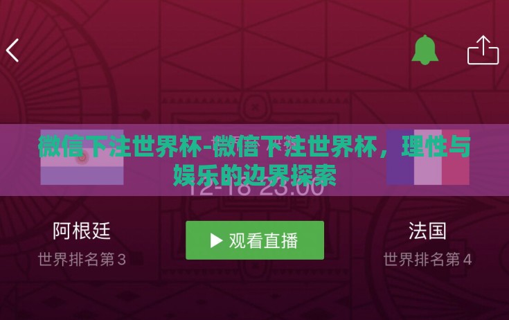 微信下注世界杯-微信下注世界杯,理性与娱乐的边界探索 微信下注世界杯-微信下注世界杯,理性与娱乐的边界探索