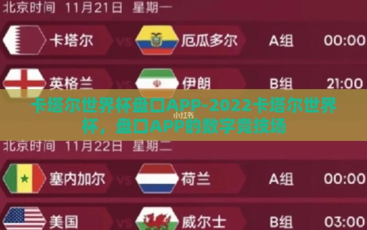 卡塔尔世界杯盘口APP-2022卡塔尔世界杯，盘口APP的数字竞技场
