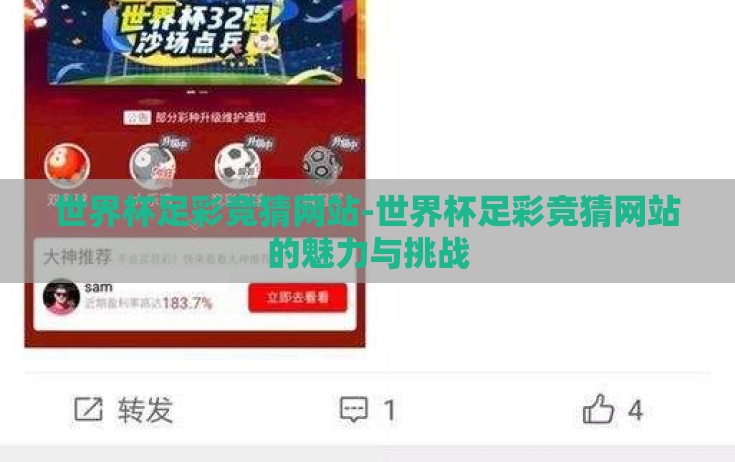 世界杯足彩竞猜网站-世界杯足彩竞猜网站的魅力与挑战