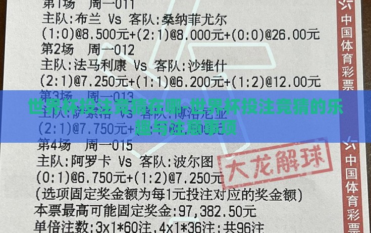 世界杯投注竞猜在哪-世界杯投注竞猜的乐趣与注意事项 世界杯投注竞猜在哪-世界杯投注竞猜的乐趣与注意事项