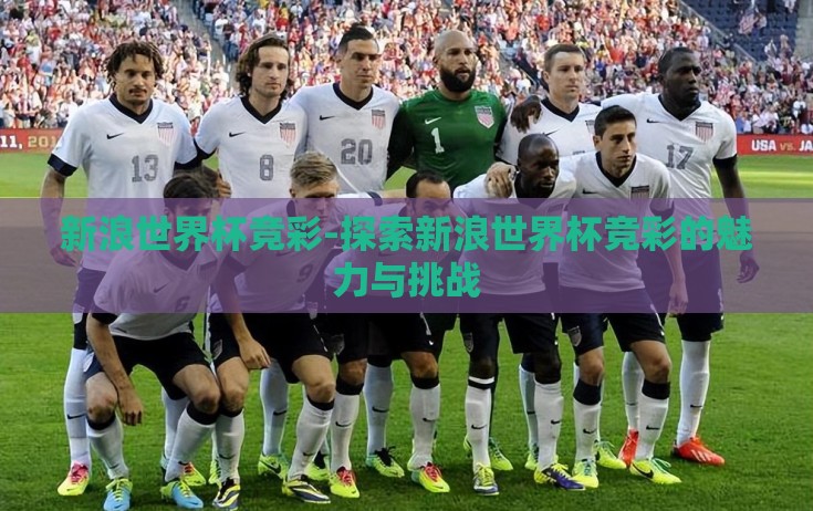 新浪世界杯竞彩-探索新浪世界杯竞彩的魅力与挑战
