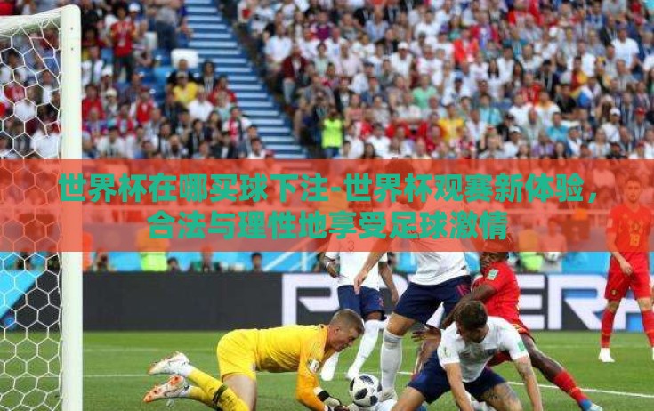 世界杯在哪买球下注-世界杯观赛新体验，合法与理性地享受足球激情