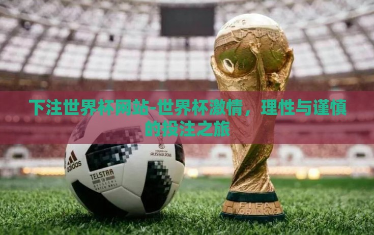下注世界杯网站-世界杯激情，理性与谨慎的投注之旅