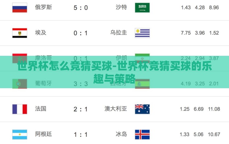 世界杯怎么竞猜买球-世界杯竞猜买球的乐趣与策略