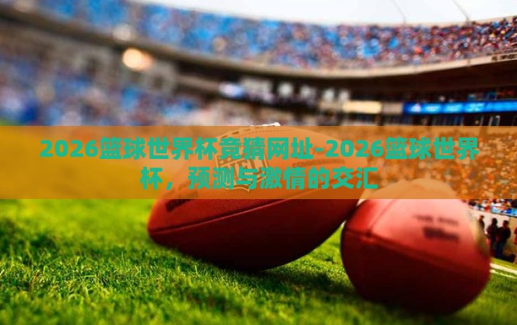 2026篮球世界杯竞猜网址-2026篮球世界杯，预测与激情的交汇