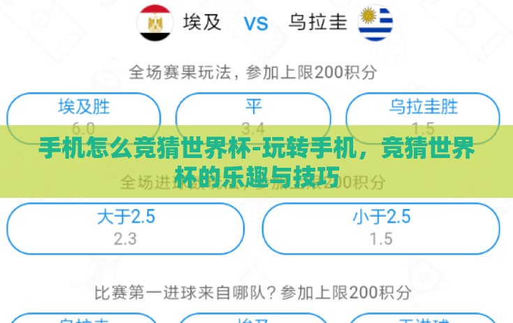 手机怎么竞猜世界杯-玩转手机，竞猜世界杯的乐趣与技巧