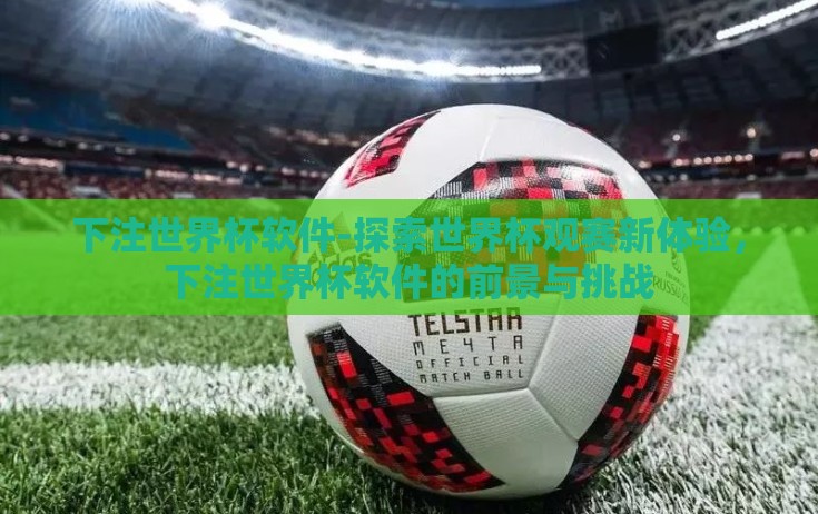 下注世界杯软件-探索世界杯观赛新体验，下注世界杯软件的前景与挑战