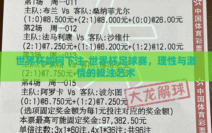 世界杯如何下注-世界杯足球赛，理性与激情的投注艺术