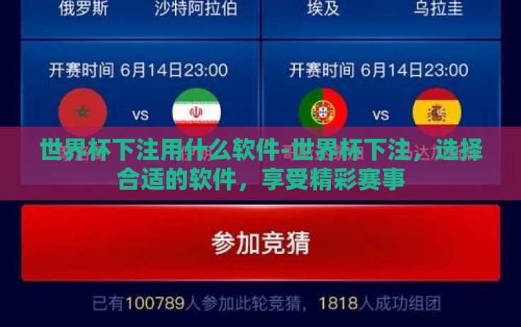 世界杯下注用什么软件-世界杯下注,选择合适的软件,享受精彩赛事 世界杯下注用什么软件-世界杯下注,选择合适的软件,享受精彩赛事