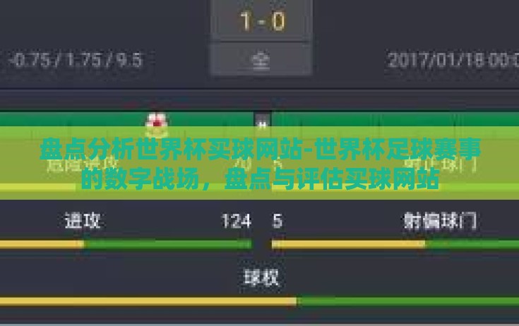 盘点分析世界杯买球网站-世界杯足球赛事的数字战场，盘点与评估买球网站