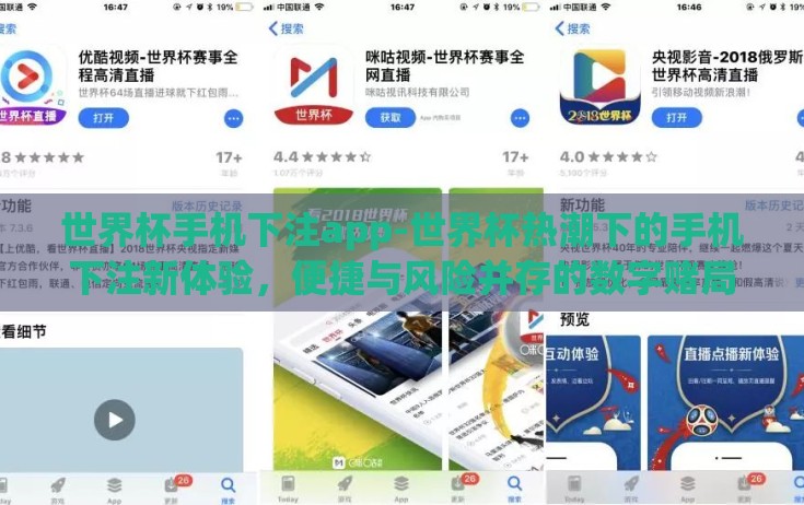 世界杯手机下注app-世界杯热潮下的手机下注新体验，便捷与风险并存的数字赌局